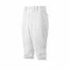 Pants/Shorts Mizuno Youth Premium Short Pant: 350312