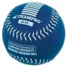 Champro 10 Oz Weighted Training Softball: CSB710CS Speciality Balls