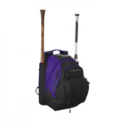 Bags DeMarini Voodoo OG Backpack: WB57117