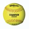 Wilson Sporting Goods Wilson A9011 NFHS Polycore Fastpitch Softball 12 Inch: One Dozen 1 Wilson Sporting Goods Wilson A9011 NFHS Polycore Fastpitch Softball 12 Inch: One Dozen