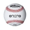 Wilson Sporting Goods Wilson A1082BR1 Babe Ruth Baseball (Dozen) Baseballs