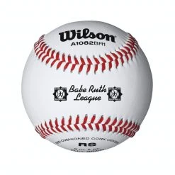 Wilson Sporting Goods Wilson A1082BR1 Babe Ruth Baseball (Dozen) Baseballs